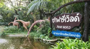 sk resort - Image 3