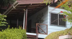 Iguana Libre - Image 5