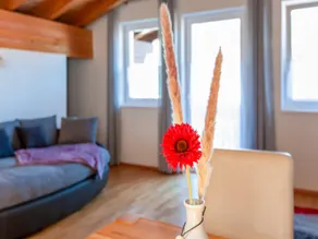 Lejlighed nær Gondol i Tyrol - Image 2
