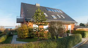 Ostsehbutzen - Image 4
