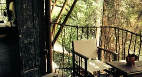 Galkadawala Forest Lodge - Image 3