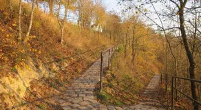 Szőnyi úti apartman - Image 5