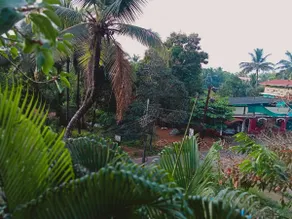 Paradise comfort - Image 3