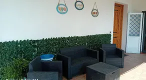La Cycas - Image 4