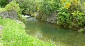 Alexanders Holiday Park - Image 2