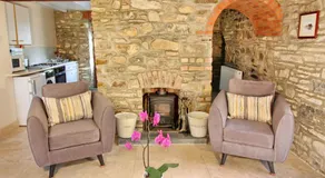 David's Organic Farm Wales - Image 5