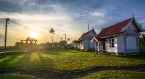 Umbut Bayu - Image 5
