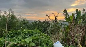 A Déjà vu homestay - Image 5