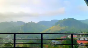 Foggy Mount View - Image 5