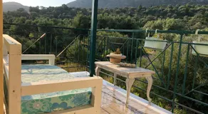 Green House - Image 3