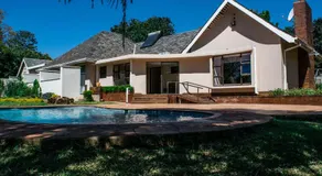 Jacaranda - Image 3