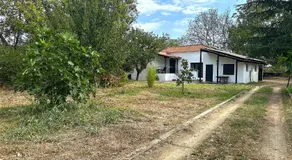 The Hidden Ranch - Image 5