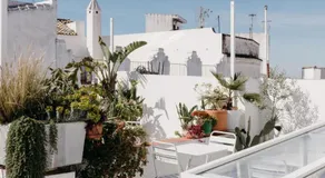 Botánico Casa Rural - Image 5