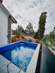 El VIlla Private Pool Lembang - Image 4