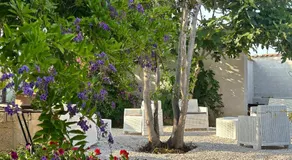 Appartamento L'Araucaria Suite Il Ginepro - Image 5