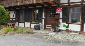 Fribis Farm - Image 4