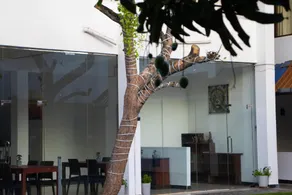 Woodnest Windmill Beach Hotel - Image 3