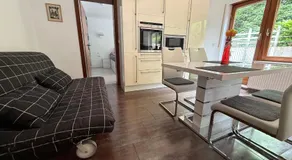 Goldstadt Garden Residence - City Apartment Pforzheim - Image 2