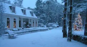 de Loverlei - Image 5