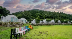 Jeju Best Hill - Image 5