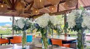 Dreams Hotel Campestre - Image 3