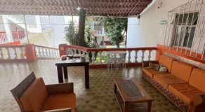 Palmas - Image 3