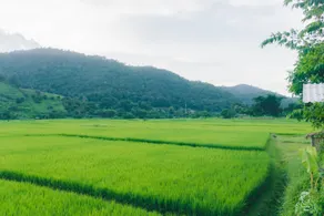 Samoeng fishing park @ home stay - Image 3