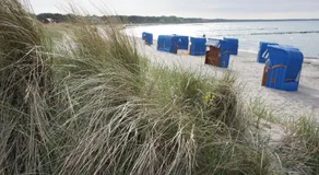 Souterraine-Findlinge - Image 3