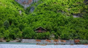 Eagles Land - Image 2