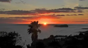 Lobo do Mar - Image 4