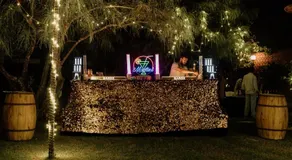 Indian Dream Villa - Image 4