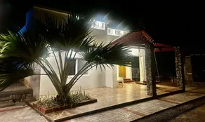 Bamboo Nest - Image 3