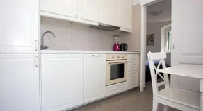 Morus Alba - Image 4
