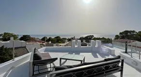 Casa Palm Tree - Image 2