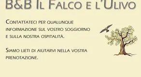 B&B Il Falco e l'Ulivo - Image 5