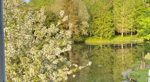 Le Moulin de Pasnel - Image 5