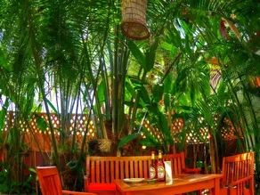 Lotus Villa - Image 4