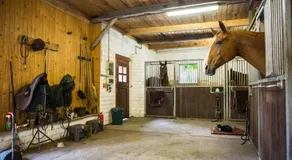 Davidshof, Bed & Breakfast - Image 5