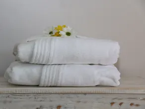 Albatross Guesthouse - Image 3