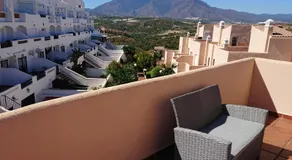 Estrella de La Bahia - Image 4