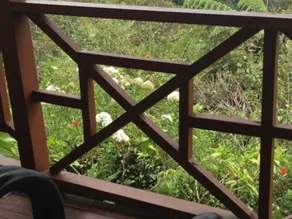 D Villa Rina Ria Lodge - Image 5