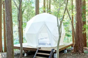 INN THE PARK - Image 4