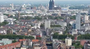 Design Sleepy Cologne - Image 3