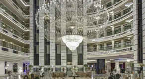 Delphin Imperial Lara - Image 4