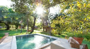 Shumba Safari Bush Camp - Image 2