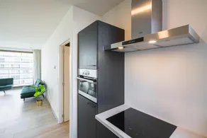 Stunning Central Antwerp Stay for 12 - Image 5