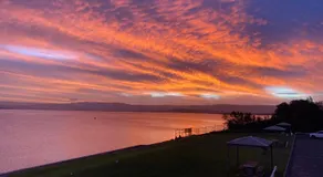 Dog friendly home with spectacular views of Lake Illawarra - Image 5