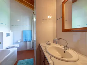 Traditional Mansion in Treixedo With Swimming Pool - Image 5