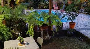 Fare Cocoon - Image 2