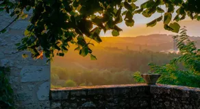 Domaine de Prim' - Chambre d'hotes - Image 5